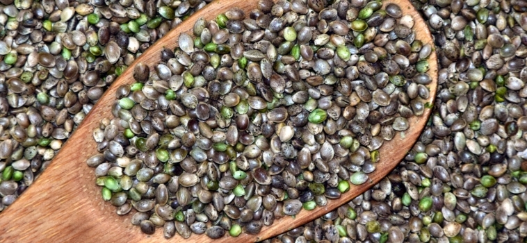 Six Evidence-Based Health Benefits of Hemp Seeds
