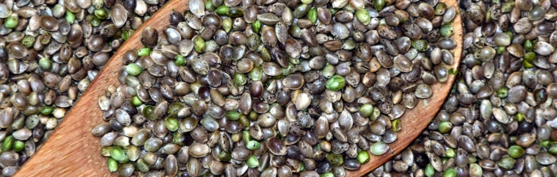 Six Evidence-Based Health Benefits of Hemp Seeds